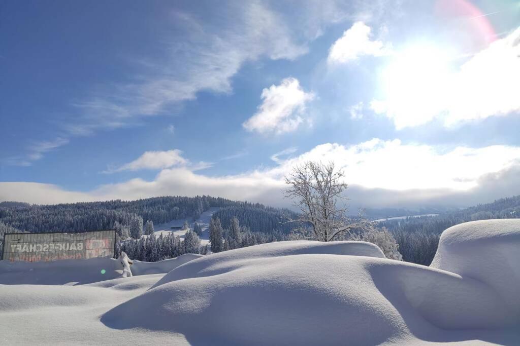 Allgaeu Apartment Rose Im Og Grunenbach Exterior foto